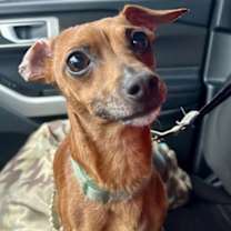 Thumbnail photo of Maui #2