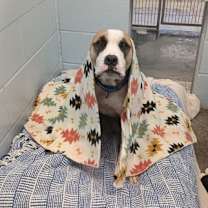 Thumbnail photo of Nita Kita #3