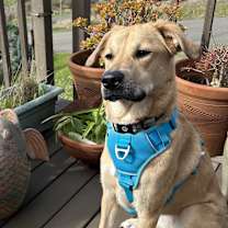 Thumbnail photo of Lumos #3