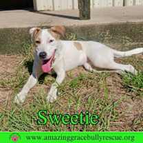 Thumbnail photo of Sweetie #2