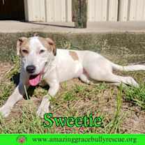 Thumbnail photo of Sweetie #3