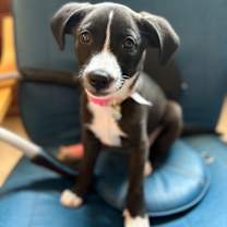 Thumbnail photo of Haven #3