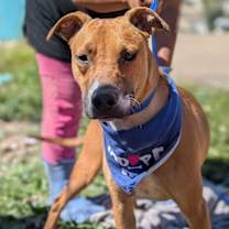 Thumbnail photo of Angel #1