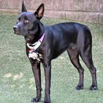 Thumbnail photo of Mary #2