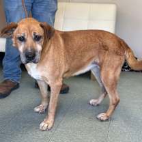 Thumbnail photo of Betty (Bella) #2