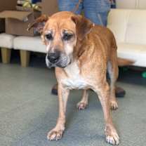 Thumbnail photo of Betty (Bella) #3