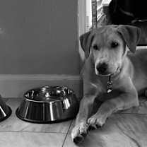 Thumbnail photo of Jolene #2