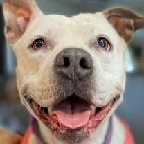 Thumbnail photo of Sabrina #1