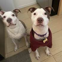 Thumbnail photo of Banks #4