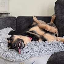 Thumbnail photo of Lola #3