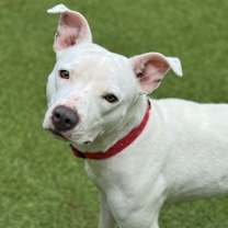 Thumbnail photo of Mixie #1