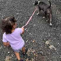 Thumbnail photo of Athena #2