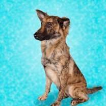 Thumbnail photo of Agueybana #3