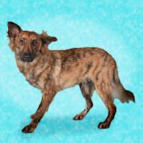 Thumbnail photo of Agueybana #4