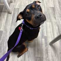 Thumbnail photo of Vicky #2