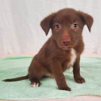 Thumbnail photo of Manny #4