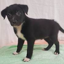 Thumbnail photo of Elli #4