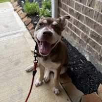 Thumbnail photo of Lana #1