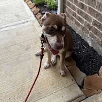 Thumbnail photo of Lana #2