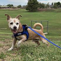 Thumbnail photo of PJ #2