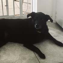 Thumbnail photo of Tobin #2