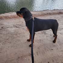 Thumbnail photo of Eli #2