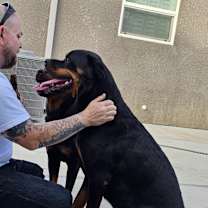 Thumbnail photo of Eli #4