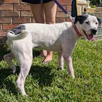 Thumbnail photo of Aloe #2