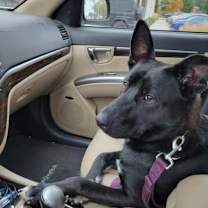 Thumbnail photo of Waffles LLD #2