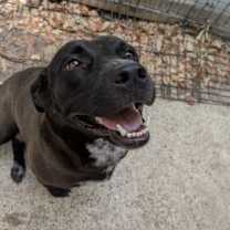 Thumbnail photo of Charlotte #1