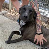 Thumbnail photo of Charlotte #2