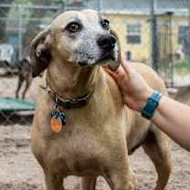 Thumbnail photo of Etta #2