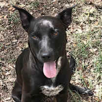 Thumbnail photo of Charlotte #3