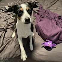 Thumbnail photo of Annabelle #2