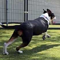 Thumbnail photo of Annabelle #3