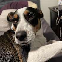 Thumbnail photo of Annabelle #4