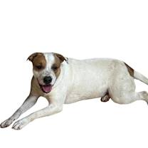 Thumbnail photo of COMPASS #2