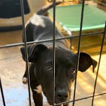 Thumbnail photo of BEE #2