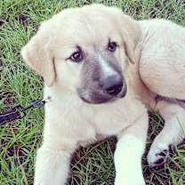 Thumbnail photo of Camper #4