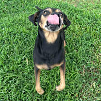 Thumbnail photo of Princess #1