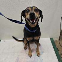 Thumbnail photo of Princess #2