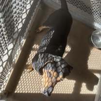 Thumbnail photo of Princess #3