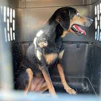 Thumbnail photo of Princess #4