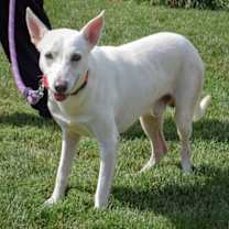 Thumbnail photo of Ragnarok #2