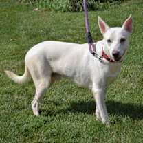 Thumbnail photo of Ragnarok #3