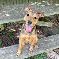 Thumbnail photo of Lucky Charm #3