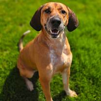 Thumbnail photo of Leia #4