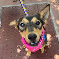 Thumbnail photo of Toph #3