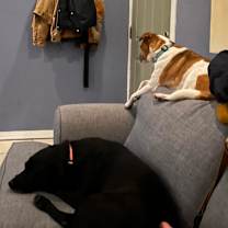 Thumbnail photo of Sam #4