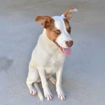 Thumbnail photo of Jerry #4